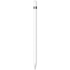 SACCAPPLPEN01B_m.jpg